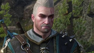 Witcher 3 25,000 XP per hour 2 methods