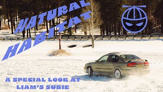 Natural Habitat - Liam's Subaru