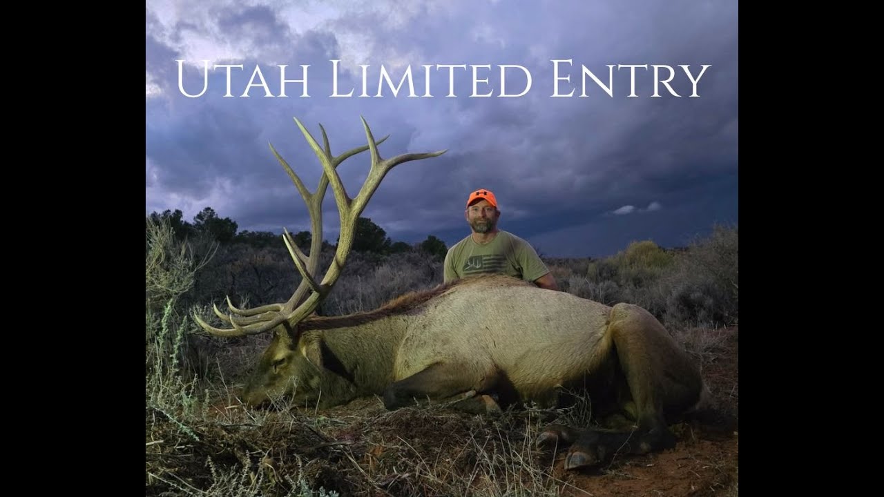 San Juan Limited Entry Bull Tag