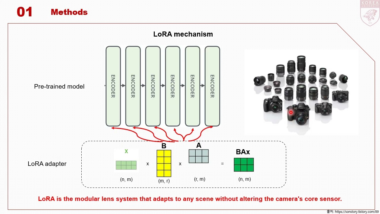 [저널미팅] EEG-Based Mental Imagery Task Adaptation via Ensemble of Weight-Decomposed Low-Rank Adapters