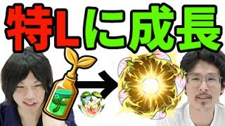 【なうしろニュース】特L成長剤！？噂のわくわくミン、誰に使う？【モンスト】