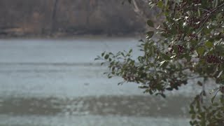 Virginia still advising residents not to use the Potomac River for recreational use