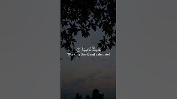 القارئ عبدالرحمن مسعد / #اكسبلور #quran #راحة_نفسية #لايك #حالات