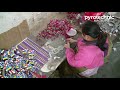 Novelty Fireworks Factory - China