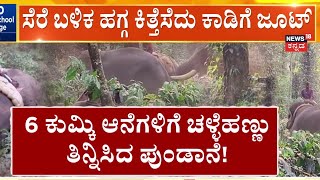 Wild Elephant Breaks Ropes and Escapes in Hassan | ಸೆರೆ ಬಳಿಕ ಹಗ್ಗ ಕಿತ್ತೆಸೆದು ಕಾಡಿಗೆ ಜೂಟ್‌!