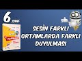 5.Ünite - Test 06 ( Sesin Farklı Ortamlarda Farklı Duyulması ) Sinerji Fen Bilimleri Soru Bankası