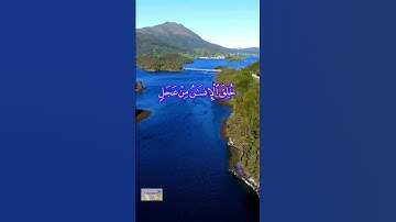 قرآن كريم تلاوه خاشعه بصوت جميل ماشاءالله #shorth #shortvideo #الشيخ_نواف_الاحمد_الصباح