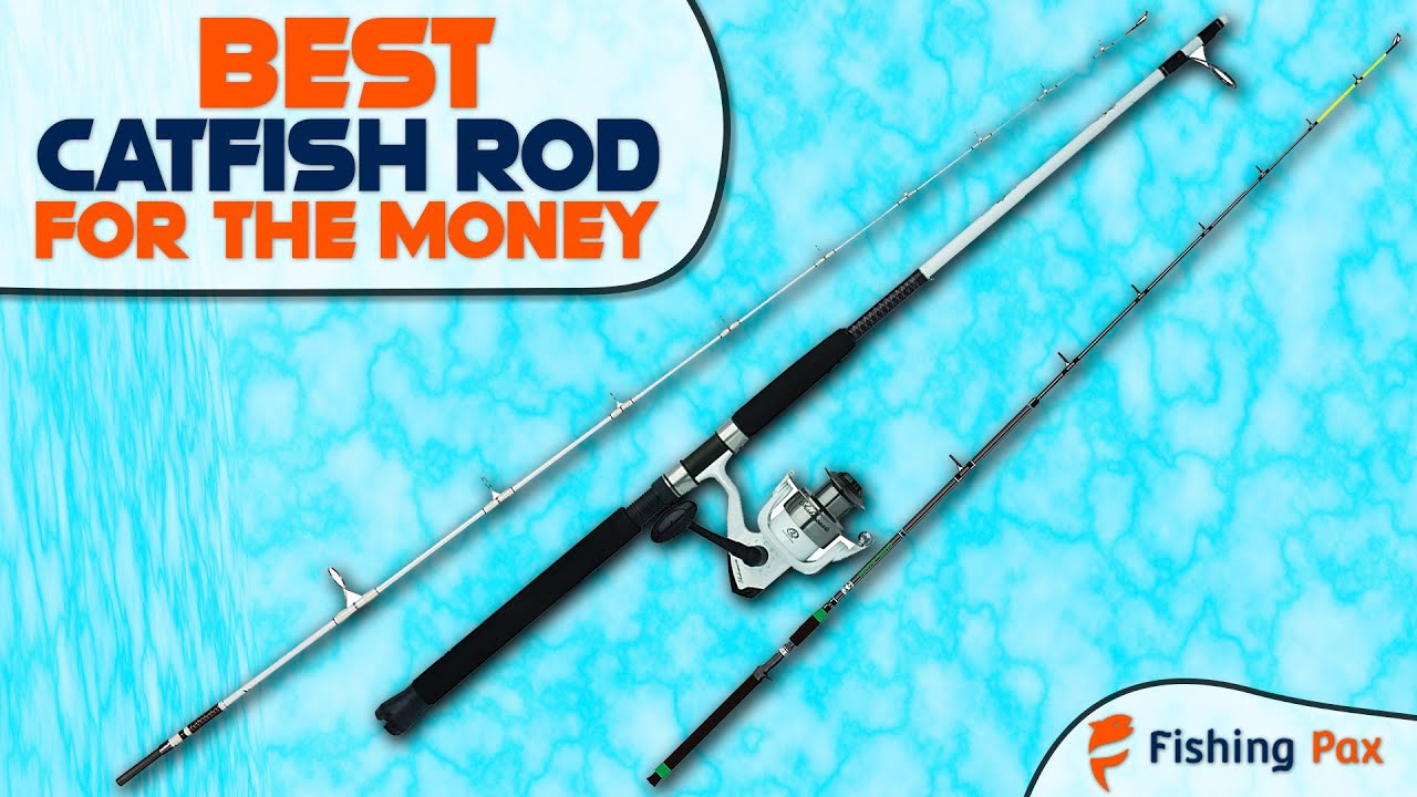 Best Catfish Rod For The Money 