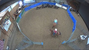 Big Sky Ranch Sorting Saddle Series #6 - #8 HC Ranch Hand - Round #1 - Ride #1