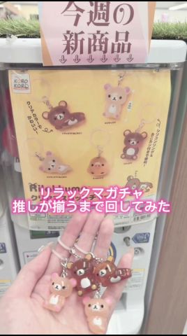 リラックマガチャ推しが揃うまで回してみた#ガチャガチャ #shorts