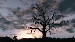 The Witcher 3 - Velen Ambient Unreleased Soundtrack Extended