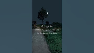 سورة فصلت | علي جابر