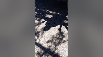 Visual Elements and Image Composition