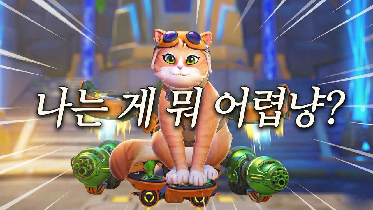 주노 원챔 장인이 고양이를 경쟁전에서 하면 생기는 일 (진짜 레전드 찍었습니다)