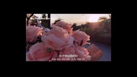 Bạch Nguyệt Quang Và Nốt Chu Sa