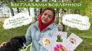 видео: Вы глазами Вселенной. Ваш вайб и энергетика сейчас. Совет высших сил🪽 картинка: Вы глазами Вселенной. Ваш вайб и энергетика сейчас. Совет высших сил🪽