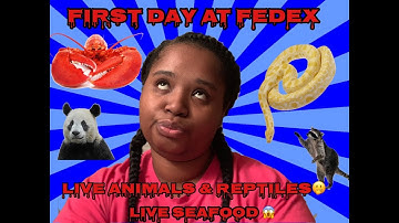 My First Day Working at fedex🤷‍♀️