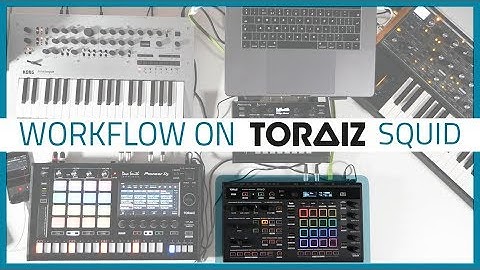 TORAIZ SQUID Tutorials Part 2 - Workflow  | Bop DJ