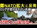 NATOフィンランド加盟でロシア国境と隣接!スウェーデンが保有する世界最強兵器