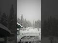 gulmarg in kashmir ❤️ #gulmarg #kashmirvalley #shortvideo #viralshorts #snow #valley #shorts #viral