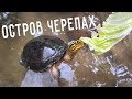 ОСТРОВ ЧЕРЕПАХ 🐢 ПЛЯЖ PANDAWA 🏝️ ВКУСНЫЙ УЖИН 😍 БАЛИЙСКАЯ КУХНЯ 🥩