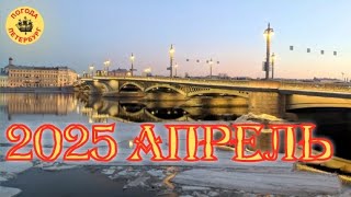 2025.04.13. Погода Петербург. 09:08. +3°. Прекрасная Молнечная Весенняя Погода!!! ☀️