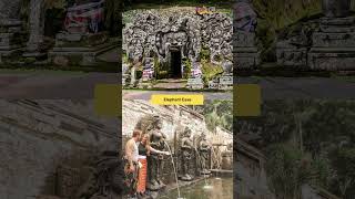 Cultural Immersion and Learning in Indonesia