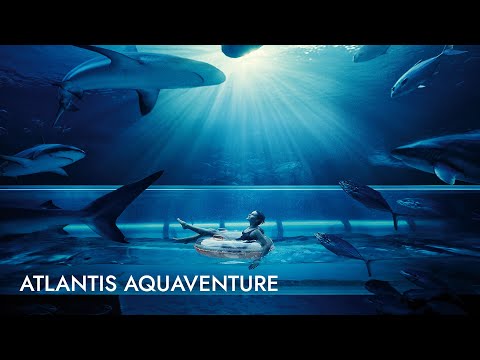 Atlantis AquaVenture