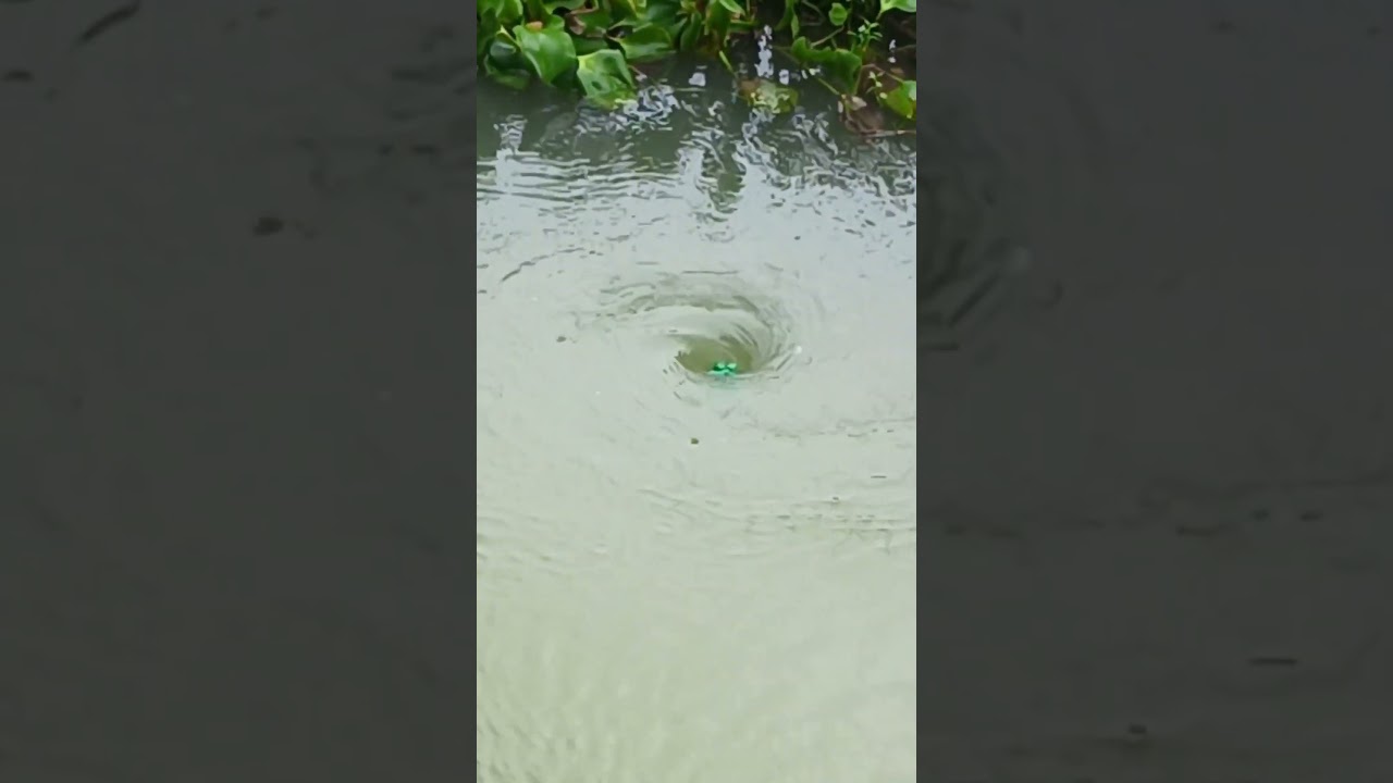 Amazing Water vortex Experience?