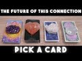 The Future Of This Connection 🖤 PICK A CARD Tarot (Timeless)