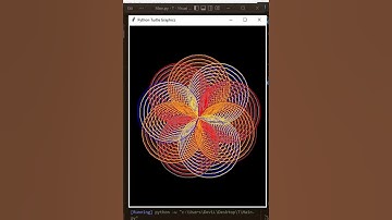 Turtle 🐢 Create Using Python #shorts #coding #python #shortvideo #viral #trend  #viralvideo @YTST21