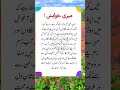 Urdu qoutes shorts  urdu qoutes  shorts  islamic qoutes  urdu poetry  viral qoutes