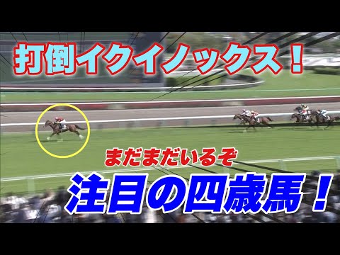 打倒イクイノックス！まだまだいるぞ強い四歳馬！【競馬】