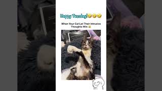 What Is Your Cat Thinking???🫪#funny #cats #funnycats #thinking #laugh #funnypets #catmoments