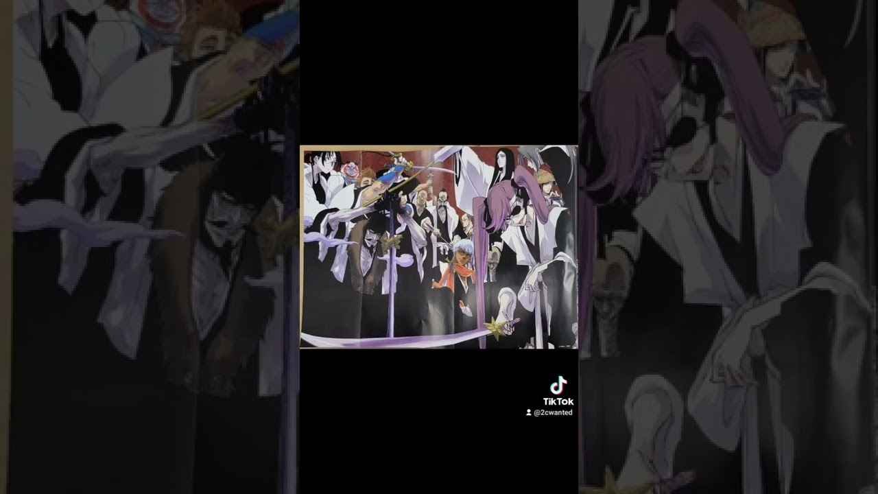 Original Gotei 13! Who belongs to what division? 