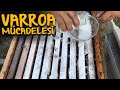 Arılarda Pudra Şekeri İle Varroa Mücadelesi