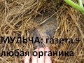 128. МУЛЬЧА — газета + любая органика = от сорняка и на пользу земле.