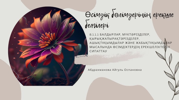 Гимнасттың маңызды сәттері