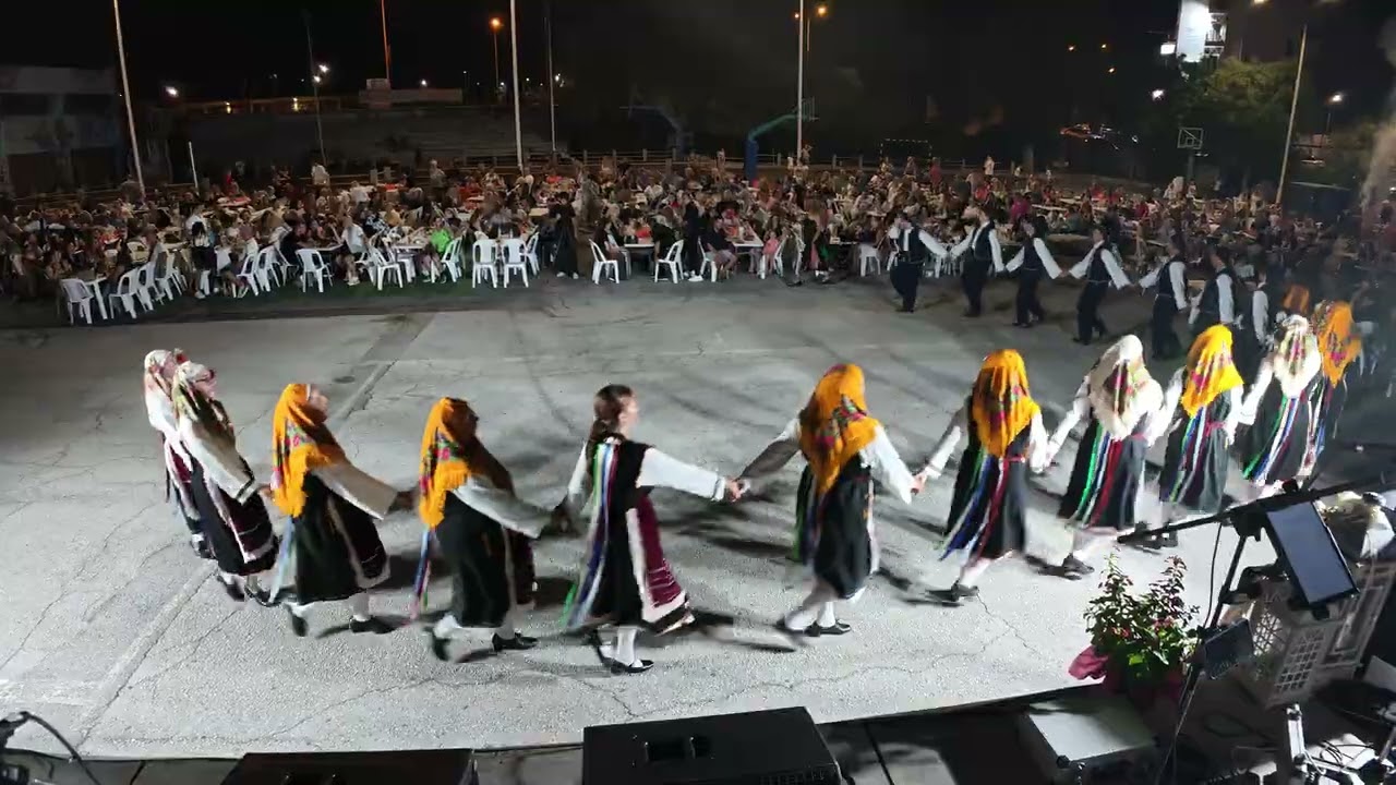 Συμμετοχή στη Θεσμοθετημένη Πολιτιστική Εκδήλωση Διονύσια 2026 — βίντεο 1