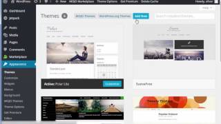 21 - Installing Themes.mp4