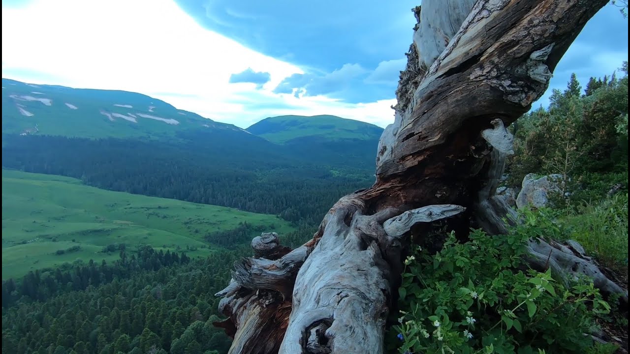 Плато Лаго Наки в 4к 60fps. Республика Адыгея. Апшеронский район ...