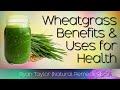 Wheatgrass Juice: Benefits and Uses
