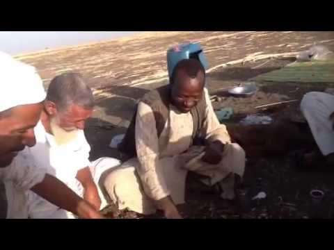 ذيب تميم عايد عبدالله