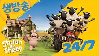 숀 더쉽 [Shaun the Sheep] 24/7 LIVE STREAM 🐑 - ⭐어린이용 만화 - 농장 동물! 프리스쿨 ⭐ #livestream