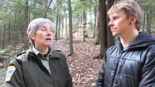 Hemlock Trees: Adam Haritan Interviews Natalie Simon at McConnells Mill State Park