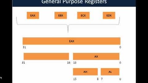 Assembly Primer for Hackers (Part 1) System Organization Tutorial.mp4