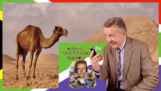 Whackhead Simpson - Camel Transport Surprise