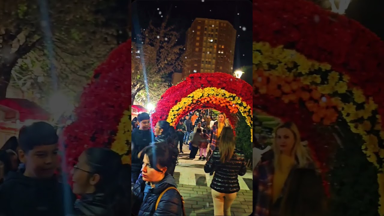 summer night and summer day in 