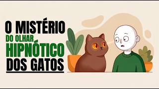 O olhar misterioso dos gatos | A Ciência Desvenda esse Mistério Intrigante