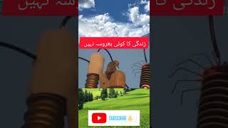heavy current | electricity | high voltage | death of bird | electric shock | birds #shortvideo Wealth